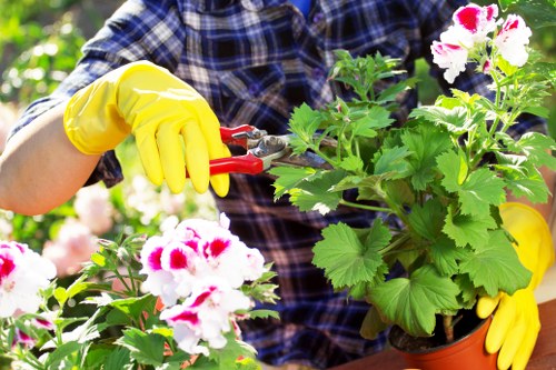 Landscaping Norwood commitment to ethical and slavery-free operations