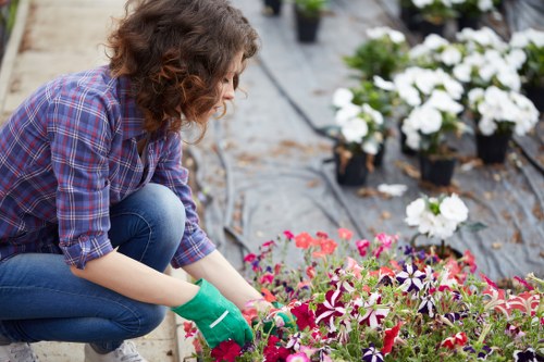 Landscaping team pricing a garden clean-up in a Norwood property