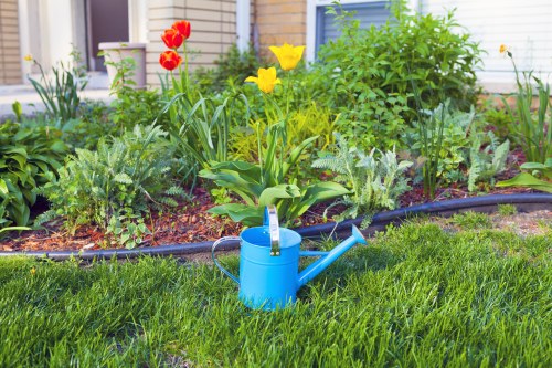Garden makeover planning for a Norwood home with practical outdoor layout ideas