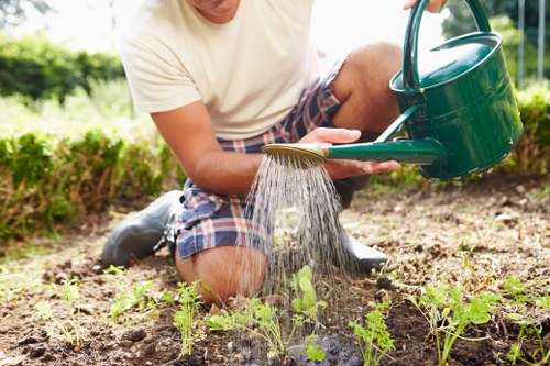 Soft landscaping work in a Norwood garden with planting and turf preparation