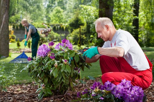 Keyboard navigation focus on a landscaping services page