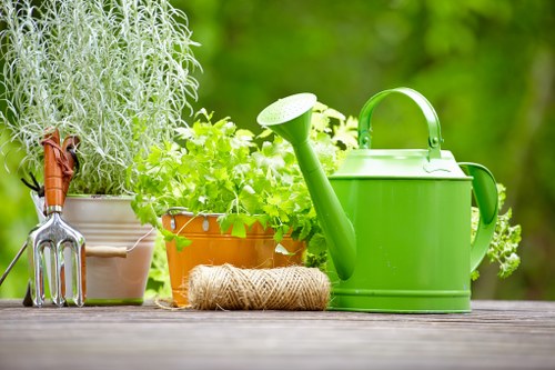 Example of a soggy lawn and water pooling that may need drainage work