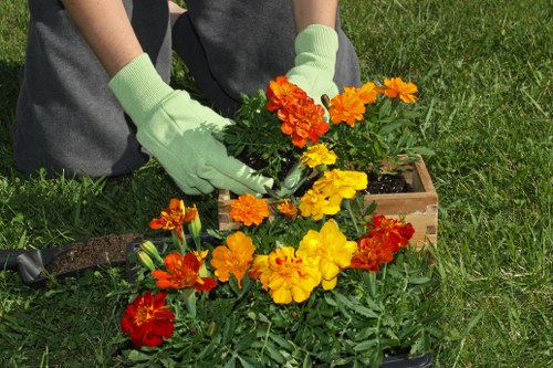 Transparent pricing details for a Norwood landscaping service