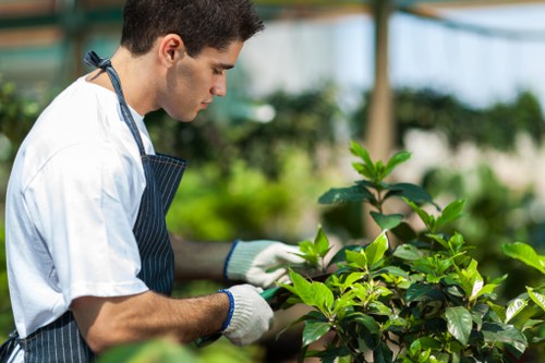 Updated cookie policy information for Landscaping Norwood