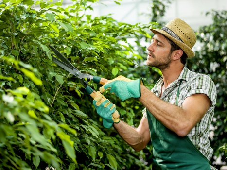 Professional landscaping staff using safety training procedures