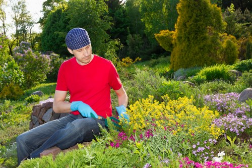 Management reviewing a landscaping safety policy document