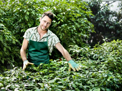 Landscaper wearing PPE during outdoor maintenance work