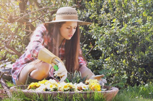Safe and insured landscaping service in Norwood