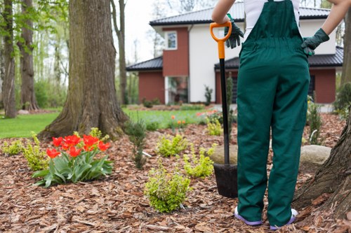 User requesting accessibility support for a local landscaping site