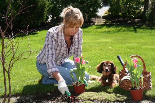 Waste separation and recycling-focused landscaping operations in Norwood