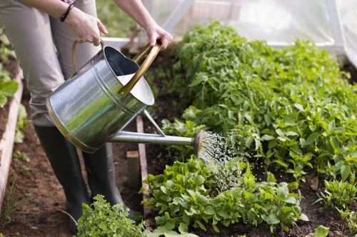 Reviewing a landscaping quotation and project terms