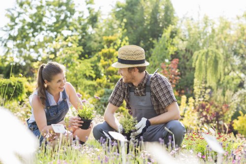 Waste removal and site clearance for a garden job